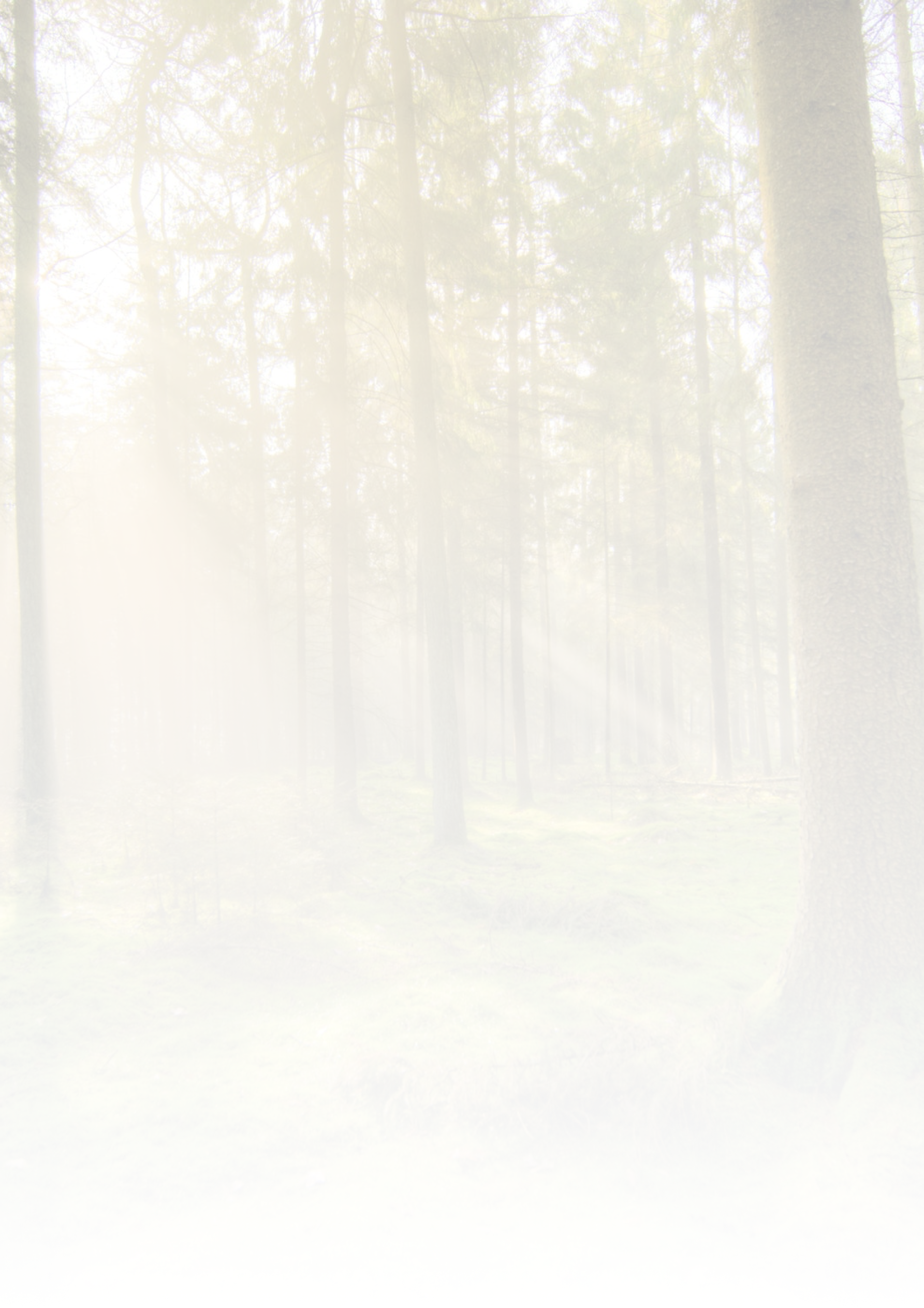 Background background11