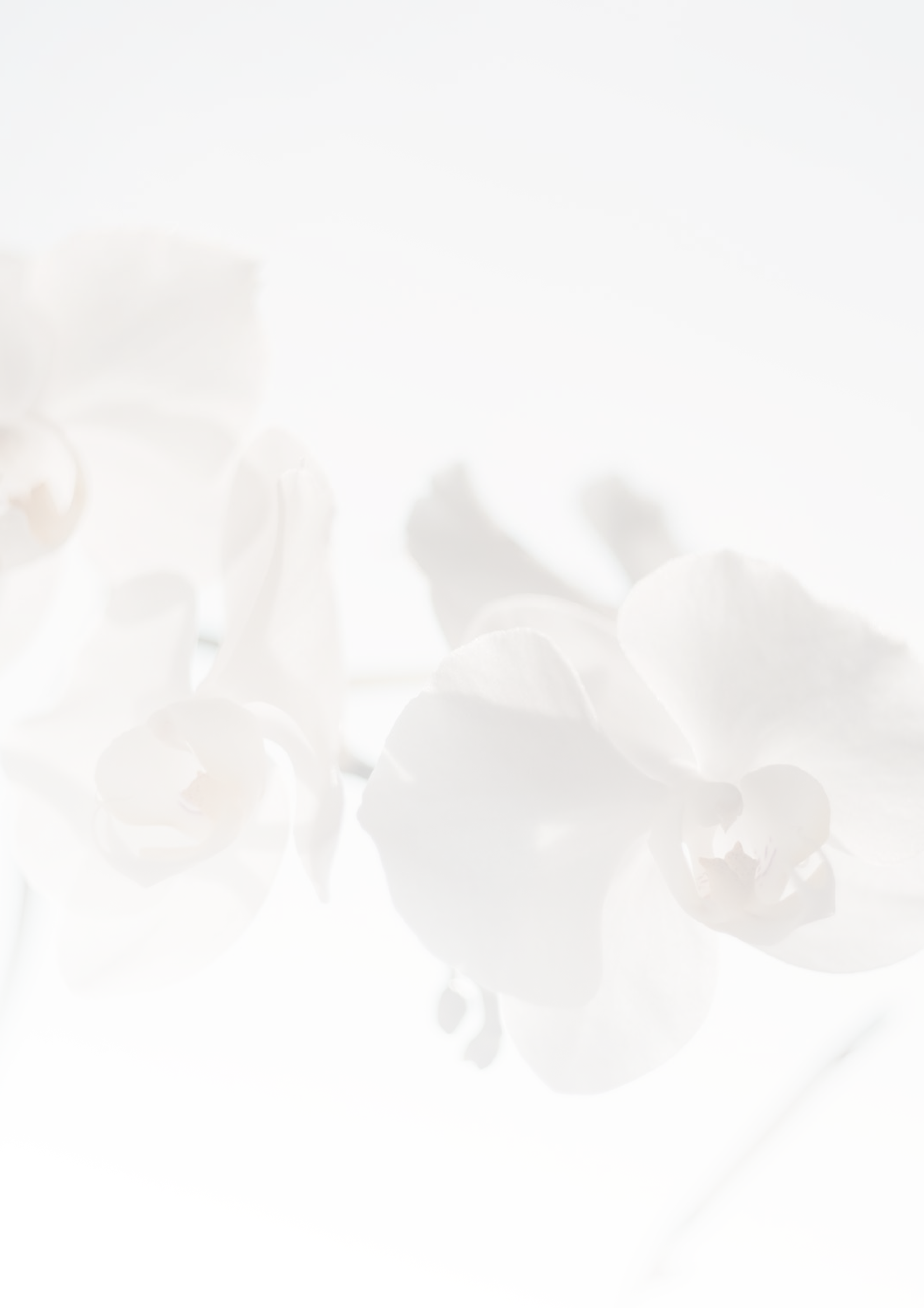 Background background12