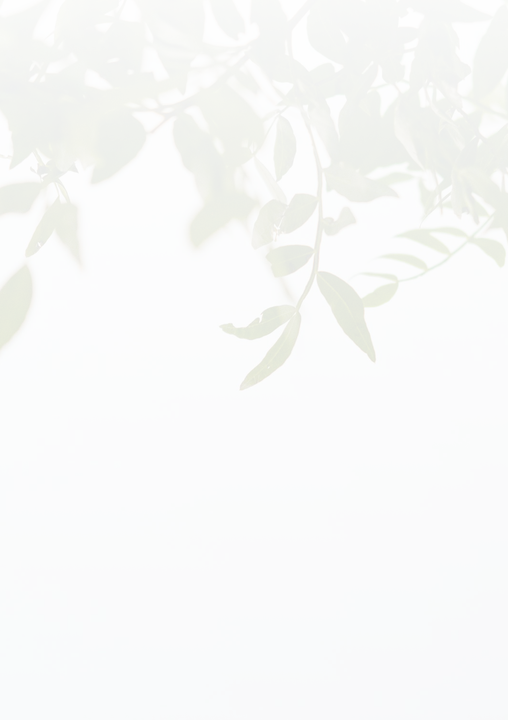 Background background13