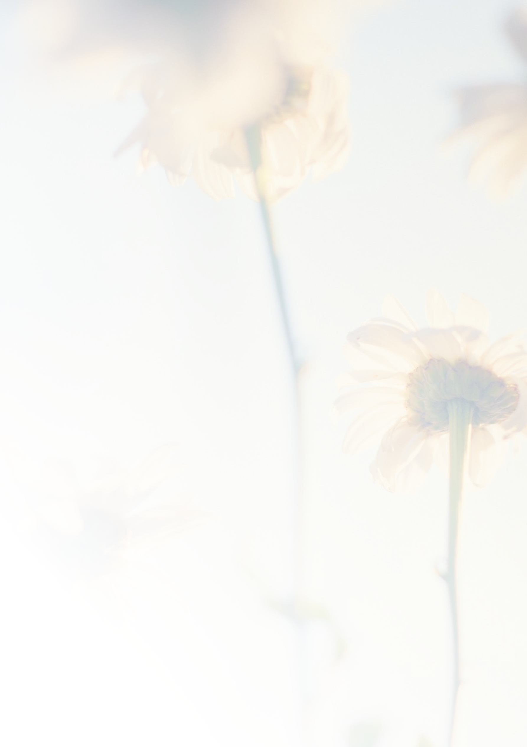 Background background14