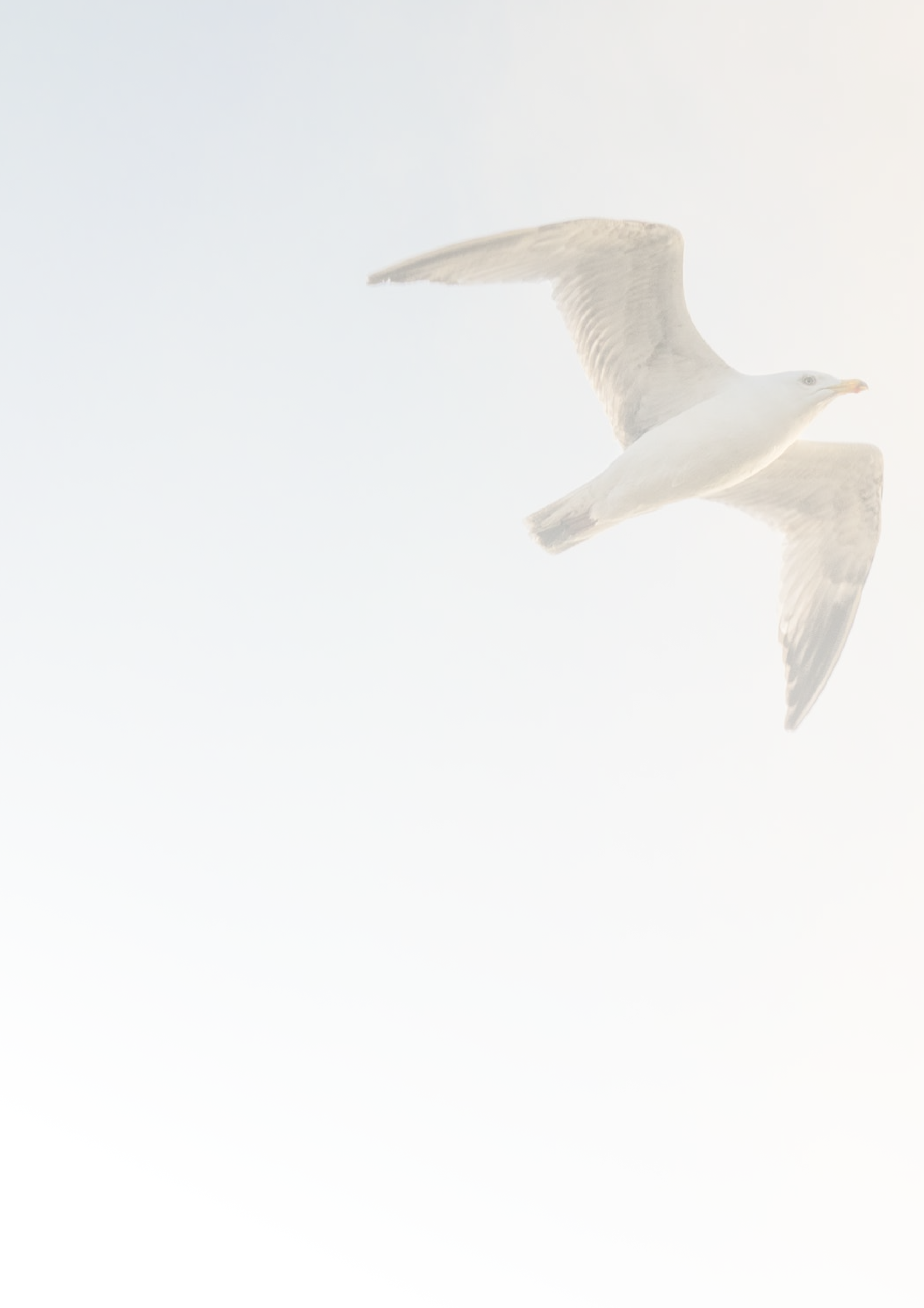 Background background9