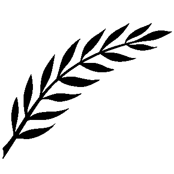 Symbol symbol7